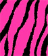 rosazebra