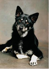 Image0012 Image0012